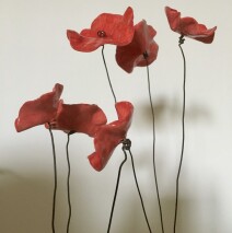 Poppies